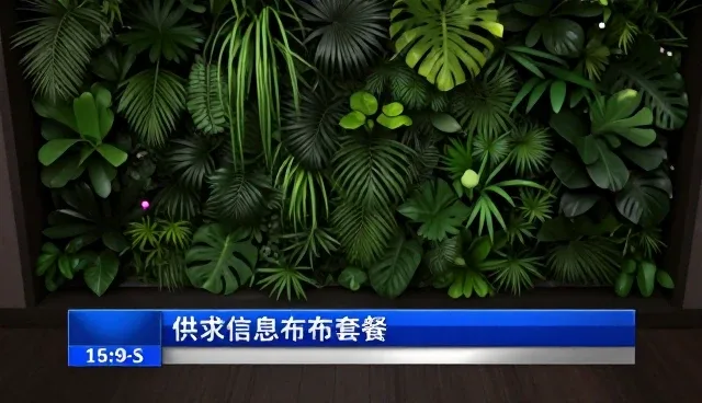 供求信息发布在适用条件下的实际操作建议